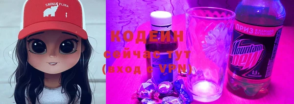 тгк Абаза
