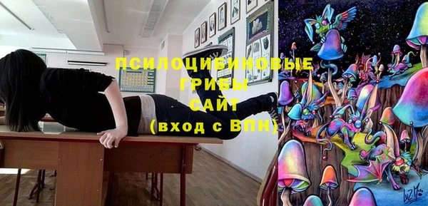 тгк Абаза