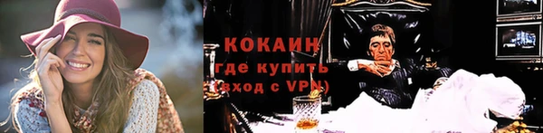 тгк Абаза