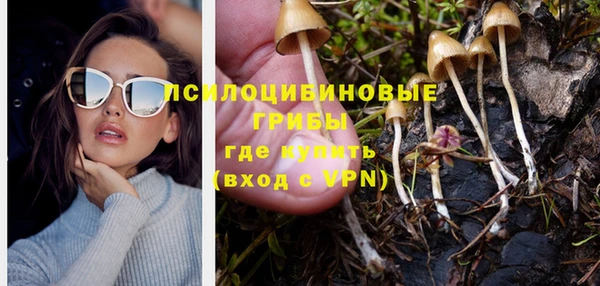 тгк Абаза