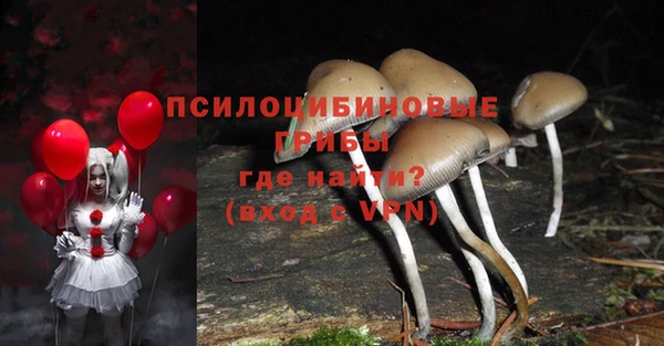 СК Абинск