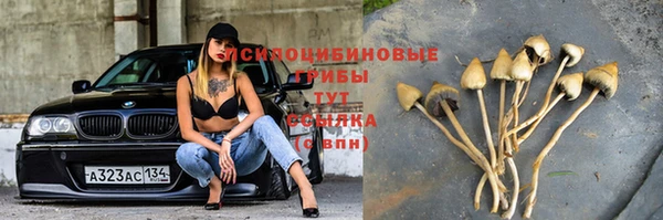 дживик Абдулино
