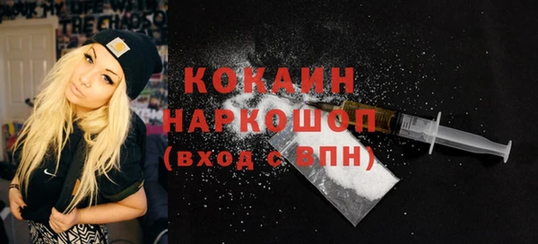 тгк Абаза