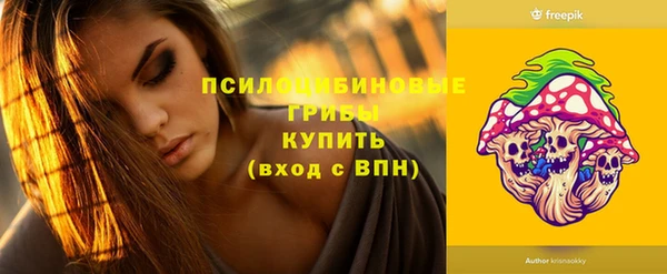 СК Абинск